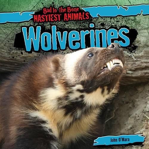 Cover image for Wolverines