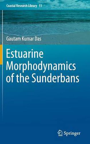 Cover image for Estuarine Morphodynamics of the Sunderbans