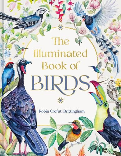 Cover image for The Illuminated Book of Birds