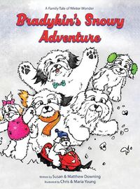 Cover image for Bradykin's Snowy Adventure