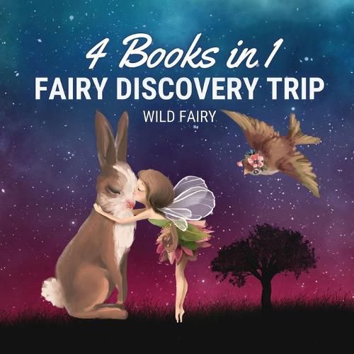 Cover image for Fairy Discovery Trip: 4 Books in 1