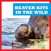 Cover image for Beaver Kits in the Wild