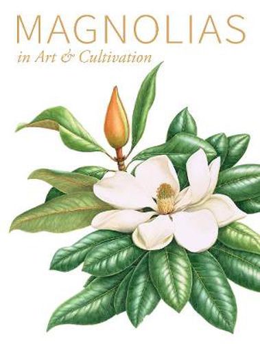 Cover image for Magnolias