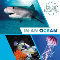 Cover image for Explore Ecosystems: In an Ocean