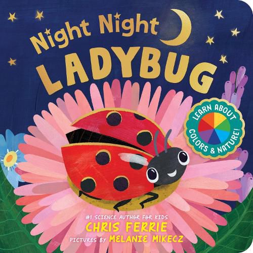 Cover image for Night Night Ladybug