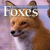 Cover image for Exploring the World of Foxes