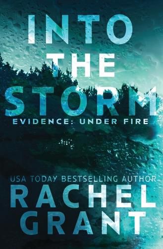 Cover image for Into the Storm