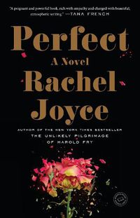 Cover image for Perfect: A Novel