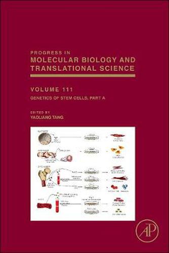 Cover image for Genetics of Stem Cells: Part A