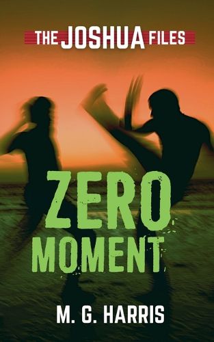 Cover image for Zero Moment