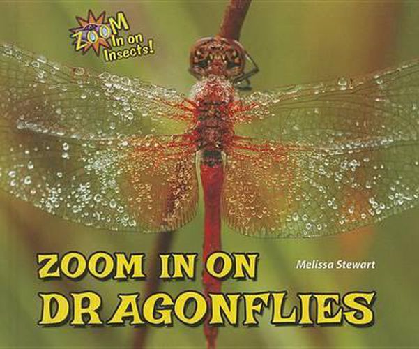 Cover image for Zoom in on Dragonflies