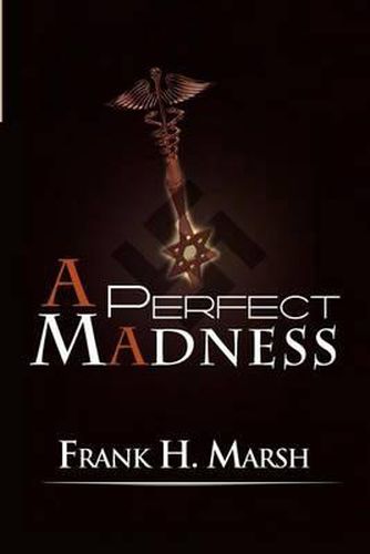 Cover image for A Perfect Madness