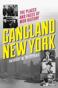 Cover image for Gangland New York: The Places and Faces of Mob History