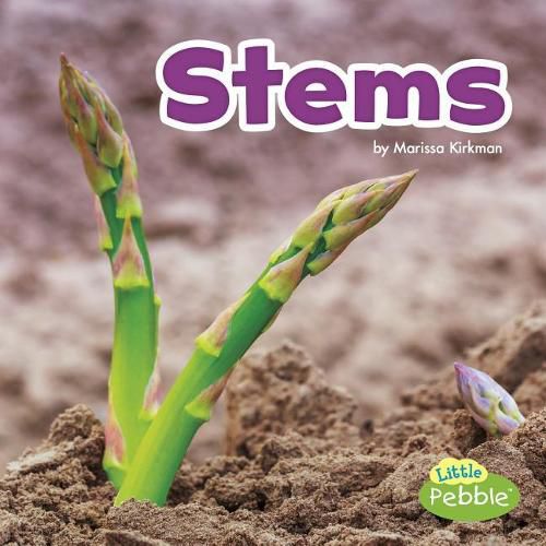 Cover image for Stems (Plant Parts)