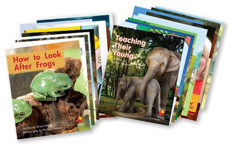 Cover image for Flying Start to Literacy Phonics Module 3 Student Book Singles Pack