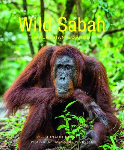 Cover image for Wild Sabah (2nd edition)