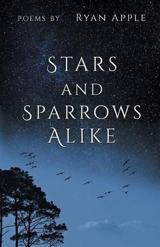 Cover image for Stars and Sparrows Alike