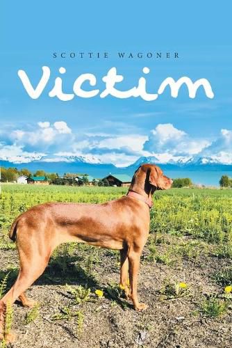 Cover image for Victim