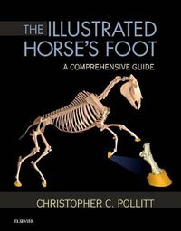 Cover image for The Illustrated Horse's Foot: A comprehensive guide