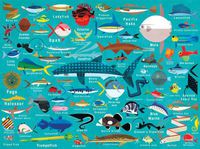 Cover image for Ocean Life 1000 Piece Family Puzzle