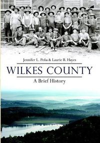 Cover image for Wilkes County: A Brief History