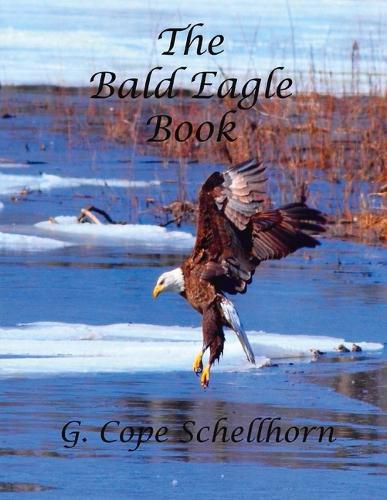 Cover image for The Bald Eagle Book