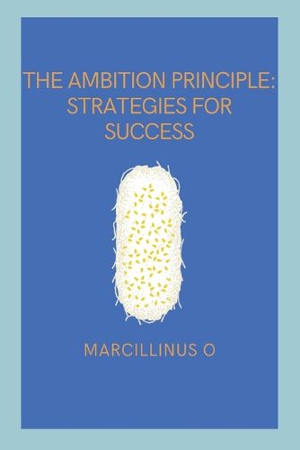 Cover image for The Ambition Principle