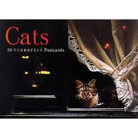 Cover image for Cats Postcard Book