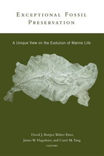 Cover image for Exceptional Fossil Preservation: A Unique View on the Evolution of Marine Life