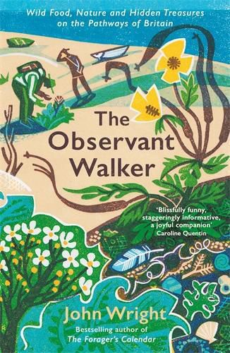 Cover image for The Observant Walker