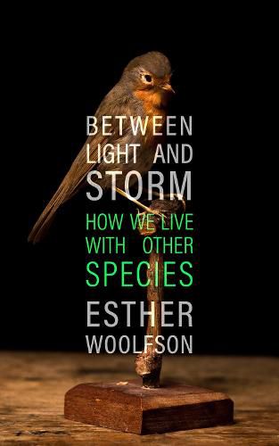 Cover image for Between Light and Storm: How We Live With Other Species