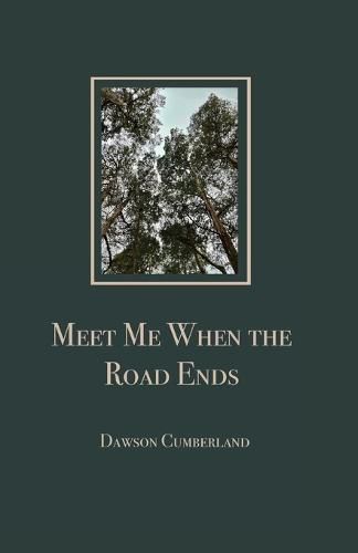 Cover image for Meet Me When the Road Ends