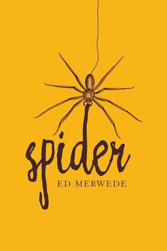 Cover image for Spider