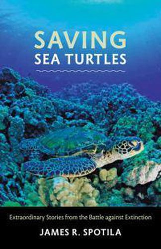 Cover image for Saving Sea Turtles: Extraordinary Stories from the Battle Against Extinction