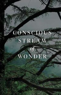 Cover image for Conscious Stream of Wonder