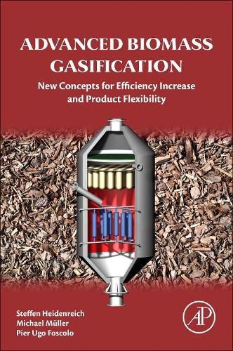 Cover image for Advanced Biomass Gasification: New Concepts for Efficiency Increase and Product Flexibility