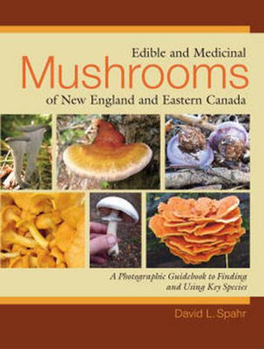 Cover image for Edible and Medicinal Mushrooms of New England and Eastern Canada