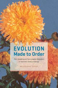 Cover image for Evolution Made to Order: Plant Breeding and Technological Innovation in Twentieth-Century America