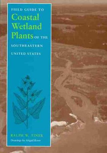 Cover image for Field Guide to Coastal Wetland Plants of the South-eastern United States