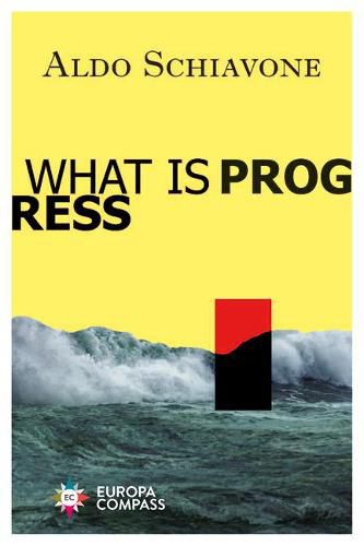 Cover image for What Is Progress