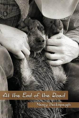 Cover image for At the End of the Road