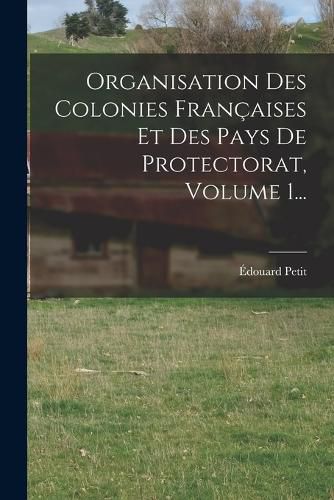 Cover image for Organisation Des Colonies Francaises Et Des Pays De Protectorat, Volume 1...