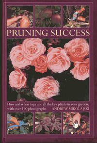 Cover image for Pruning Success