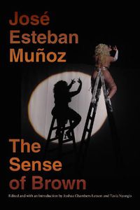 Cover image for The Sense of Brown