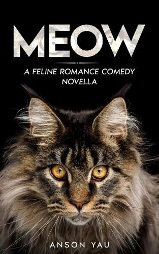 Cover image for Meow