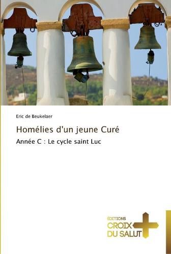 Cover image for Homelies d'un jeune cure