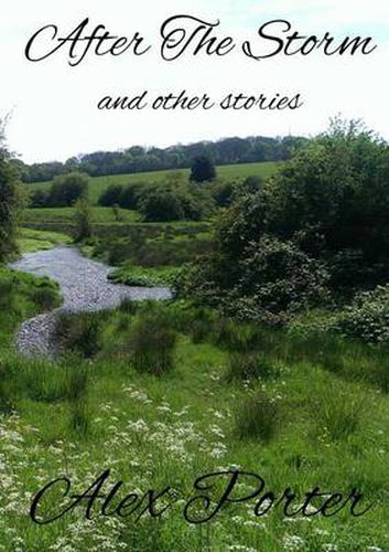 Cover image for After The Storm and Other Stories