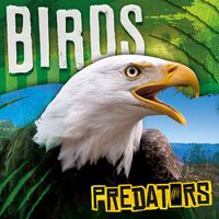 Cover image for Birds