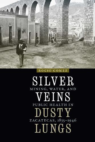 Cover image for Silver Veins, Dusty Lungs: Mining, Water, and Public Health in Zacatecas, 1835-1946