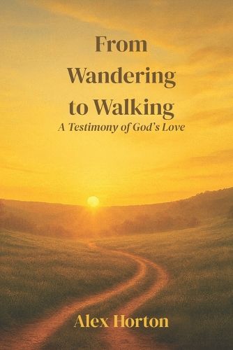 Cover image for From Wandering to Walking